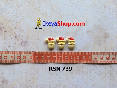 rsn 739  large2